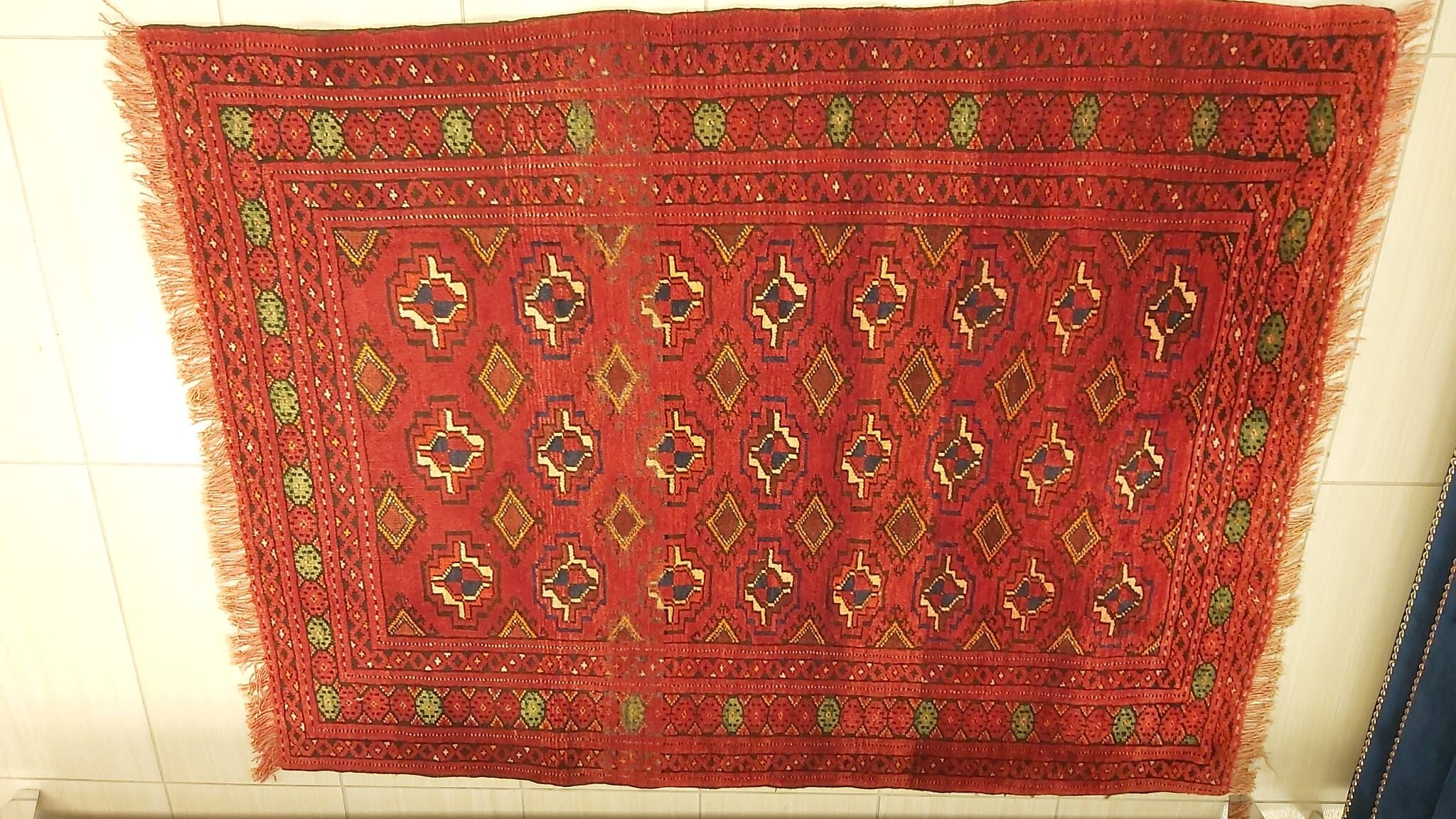 Zagros Gallery